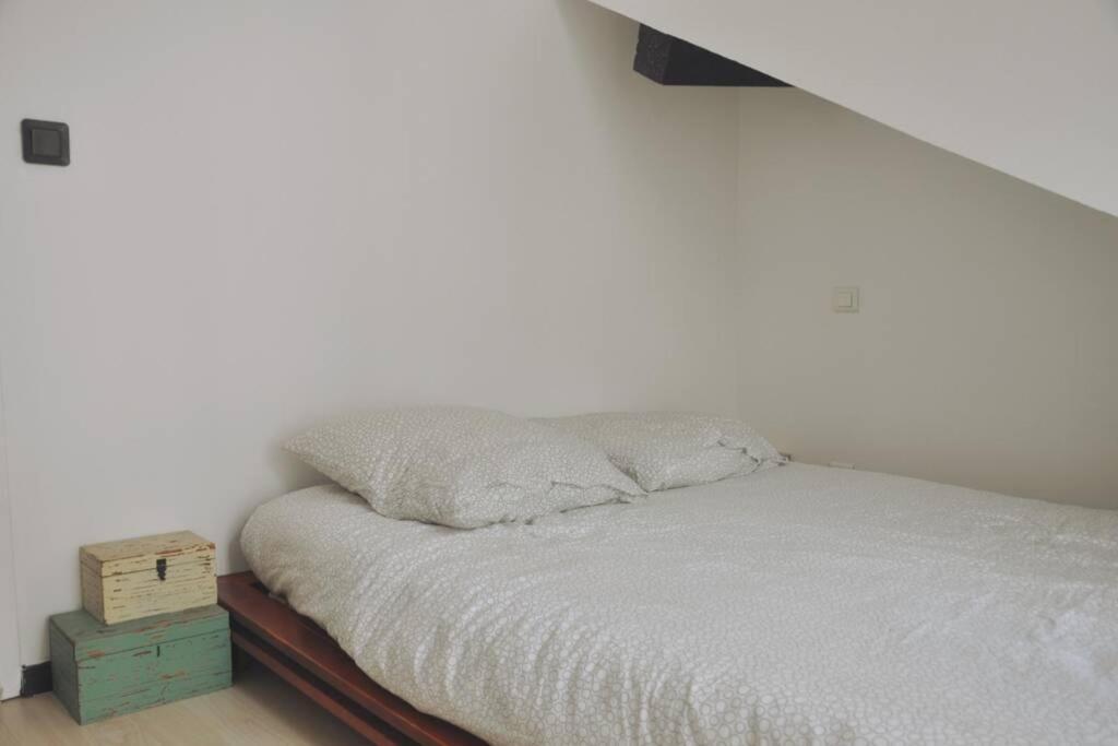 Duplex Avec Belle Terasse Au Centre De Bayonne Apartamento Exterior foto